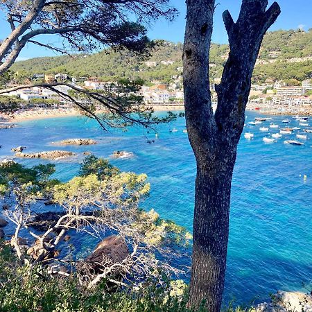 Apartment 1Llad01 - Llafranc Calella De Palafrugell Buitenkant foto