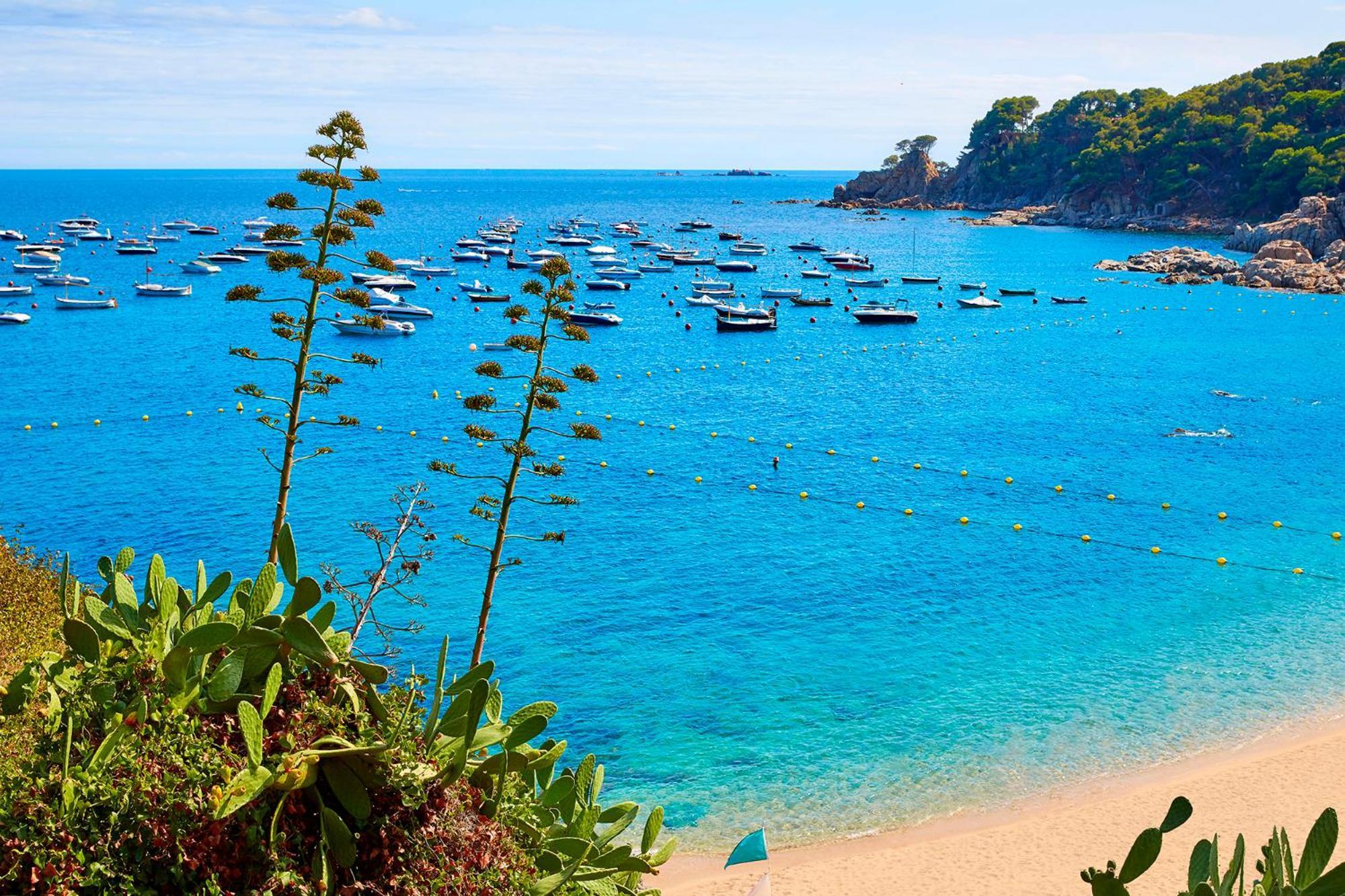 Apartment 1Llad01 - Llafranc Calella De Palafrugell Buitenkant foto