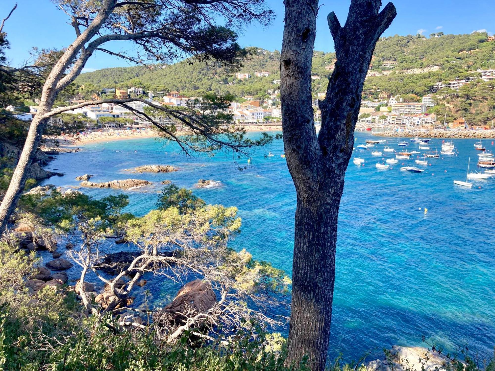 Apartment 1Llad01 - Llafranc Calella De Palafrugell Buitenkant foto